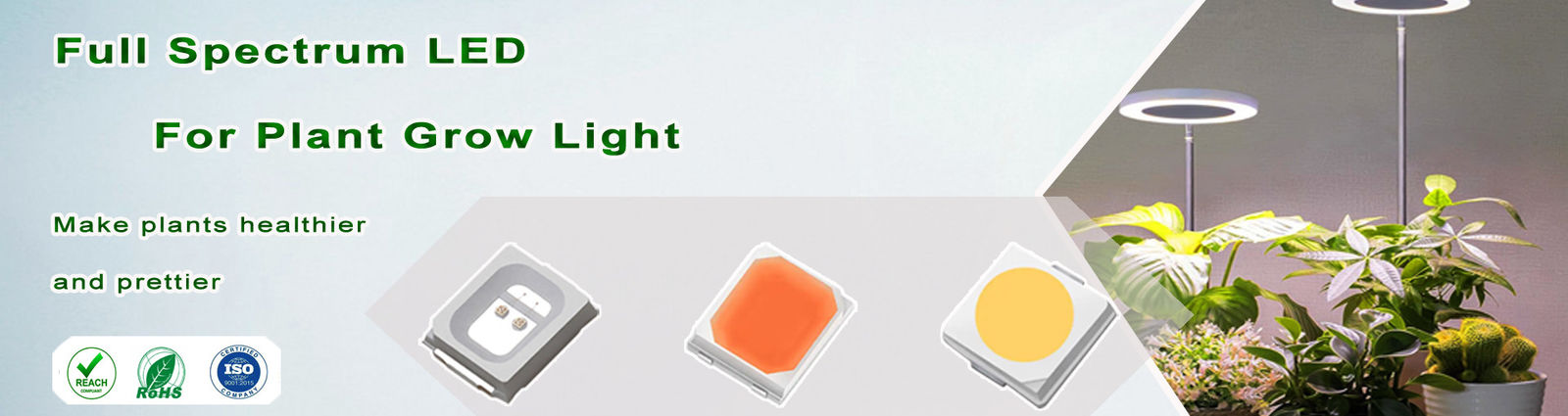 LED SMD bicolore