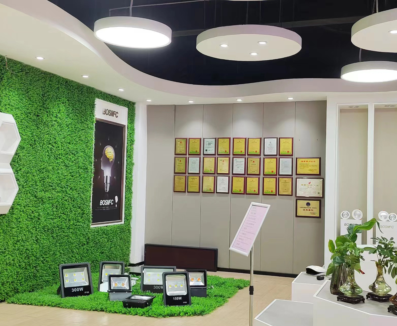 Porcellana Dongguan Lanjin Optoelectronics Co., Ltd. Profilo Aziendale