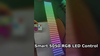 Striscia LED indirizzabile IC incorporata 5050 LED RGB personalizzata