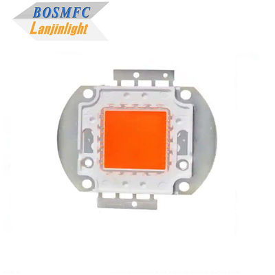 10W 30W Indoor LED Grow Light LED ad alta potenza COB Full Spectrum
