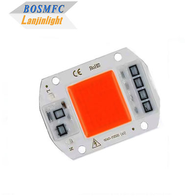 Practical Full Spectrum COB LED Chip 50W 100W per lampadina per la coltivazione delle piante interne